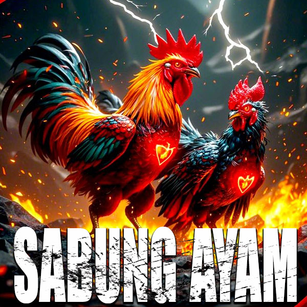 SV388 ⚡️ Situs Terbaik No 1 Taruhan Sabung Ayam Online Live 24 Jam